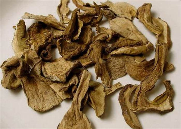 Callampas Deshidratadas
