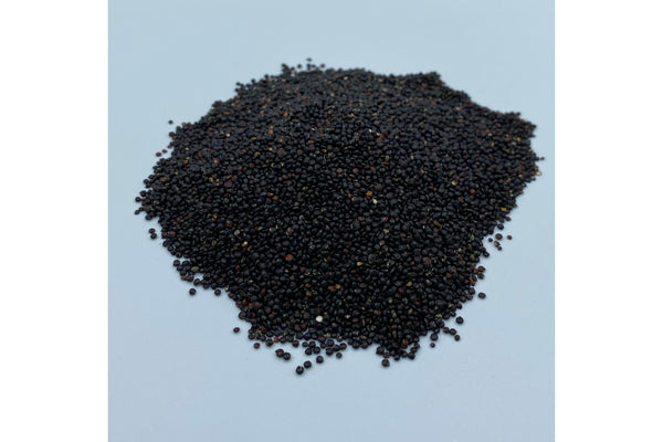 Quinoa Negra