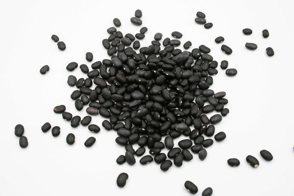 Poroto Negro
