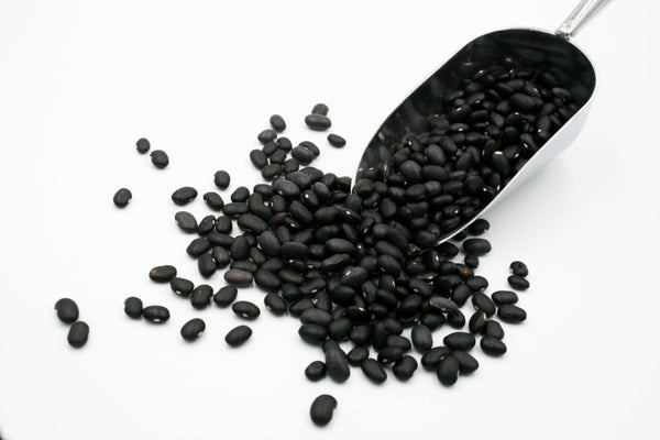 Poroto Negro