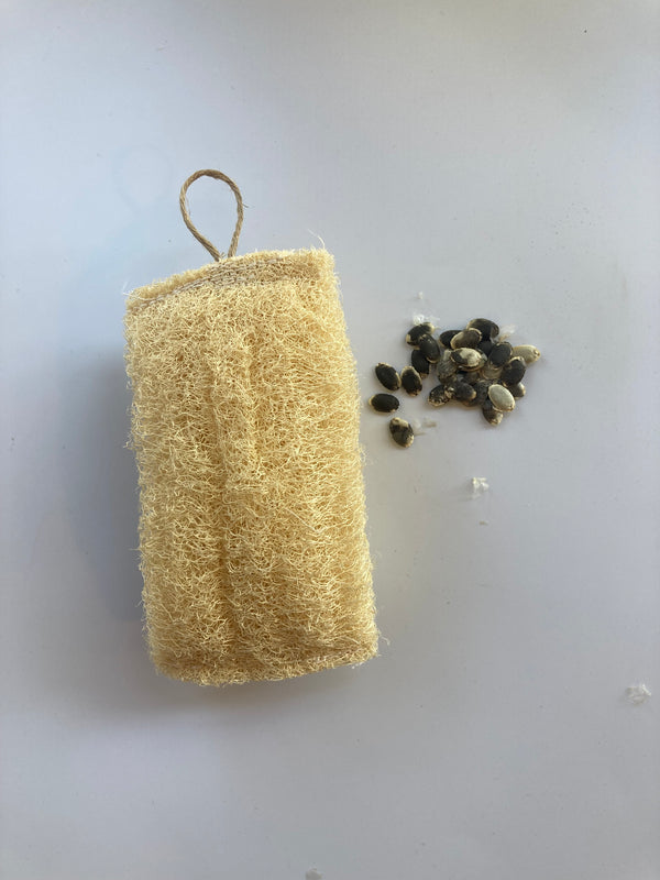 Luffa Esponja Cocina