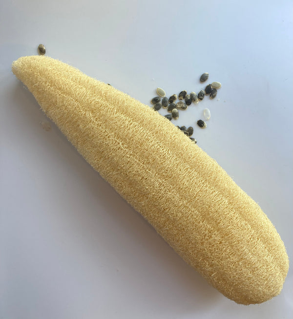 Luffa Esponja Vegetal Grande