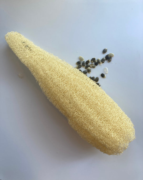 Luffa Esponja Vegetal Mediana