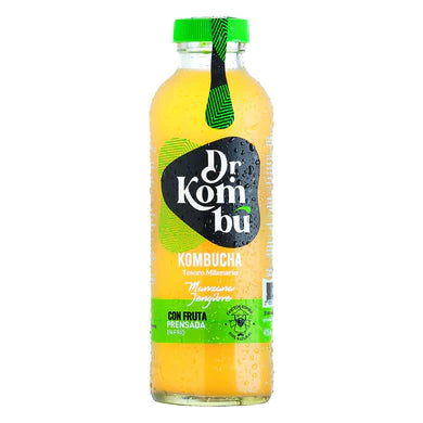 Kombucha Jengibre-Manzana 475 cc Dr Kombu